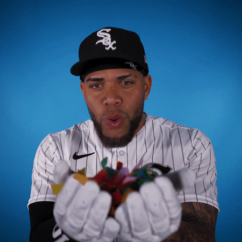 Lets Go Baseball GIF by Chicago White Sox