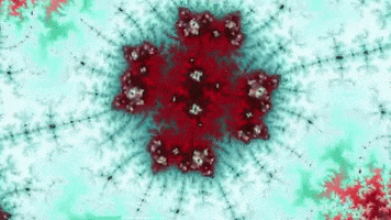 Benoit Mandelbrot Lsd GIF by xponentialdesign