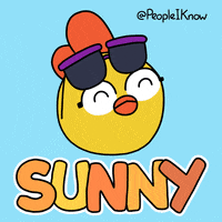 Sunglasses Chicken GIF by Timothy Winchester