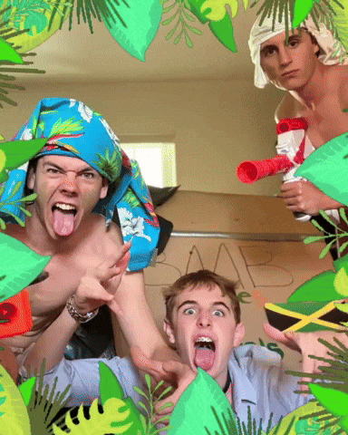 Bob Jungle GIF