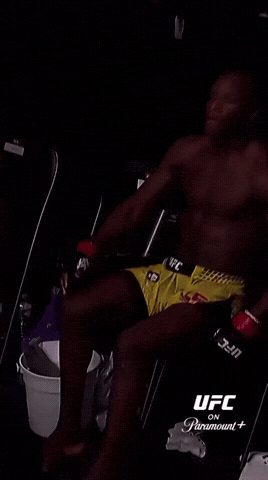 Fight Celebration GIF