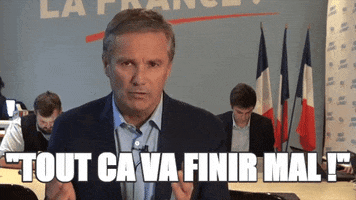 election citation GIF by franceinfo