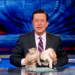 Kissing Stephen Colbert GIF - Find & Share on GIPHY