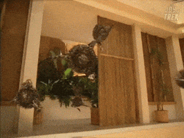 Star Trek Voyager GIF by The Joy of Trek