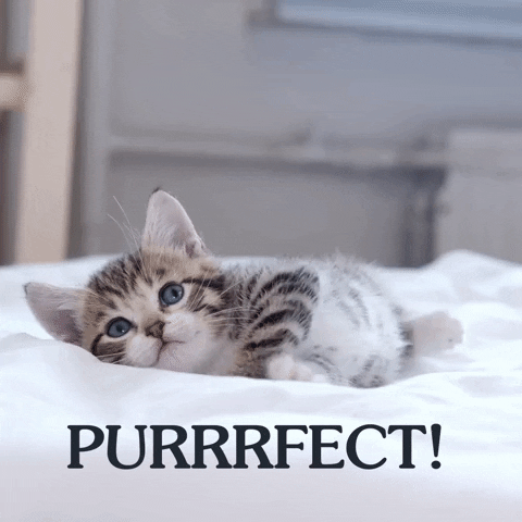 Pet Food Cat GIF by Taste of the Wild - Find & Share on GIPHY