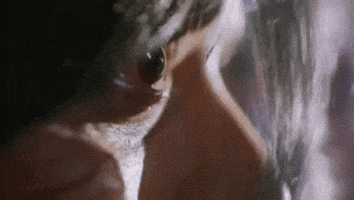 Mahesh Babu Sai GIF