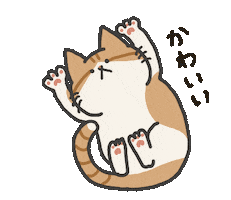 Cat Sticker