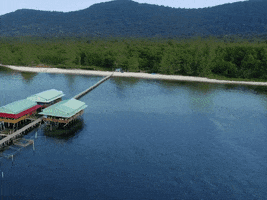 Vivuphuquoc GIF