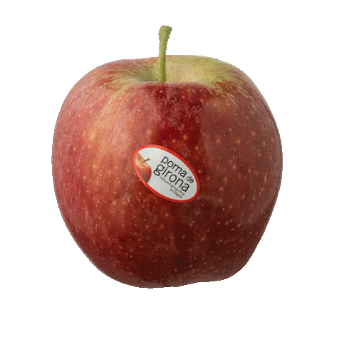Poma de Girona Sticker