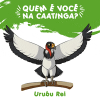 Fauna GIF by Associação Caatinga