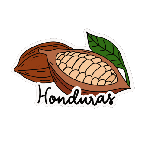 Chocolate Cacao Sticker by Visit Honduras