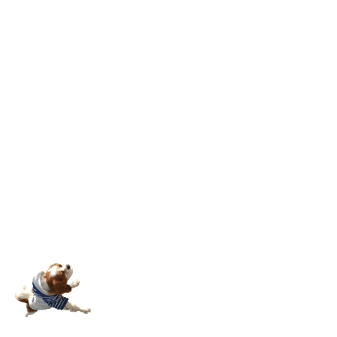 RudyLuxor Sticker