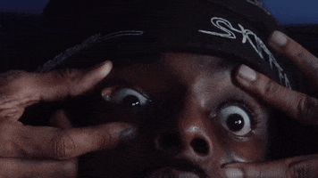 crow  GIF