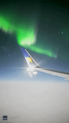 Northern Lights Aurora Borealis GIF by Storyful