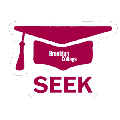 Seek Sticker by Brooklyn College