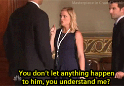 amy poehler