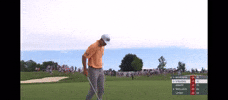 Pga Tour Golf GIF