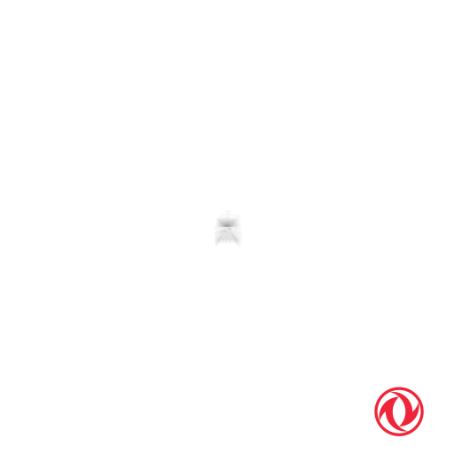 Captain Logistica Sticker by Dongfeng Argentina