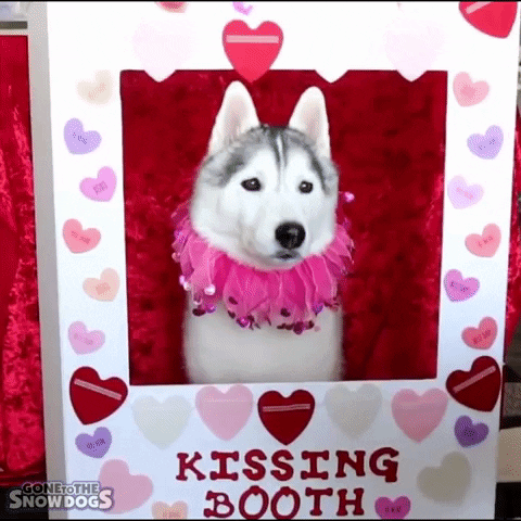 Be My Valentine GIF by Gone to the Snow Dogs