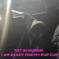 Mean Girls Dog GIF by Speak for the Unspoken
