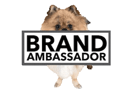 Brand Ambassador Dog Sticker