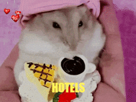 Australia GIF