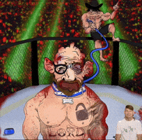 Ufc GIF