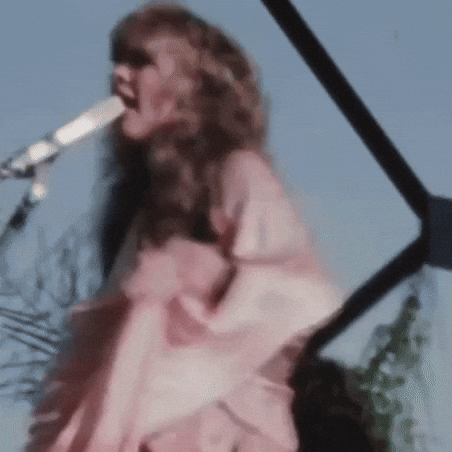 Stevie Nicks GIF