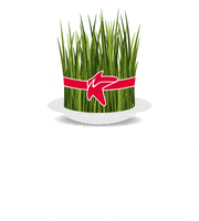 Spring Plants GIF by Bakcell