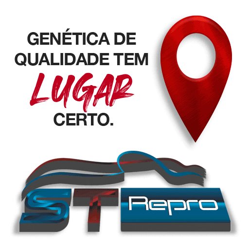 ST Repro Sticker