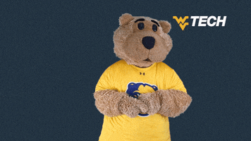 West Virginia College GIF by WVU Tech Golden Bears