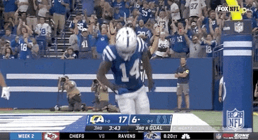 Zach Pascal Football GIF by NFL