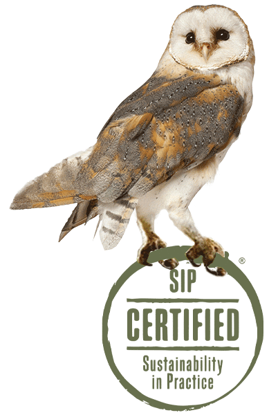 Wine Owl Sticker by SIP Certified