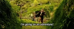 excited the lord of the rings GIF