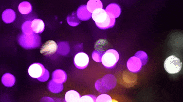 Christmas Lights GIF by James Madison University