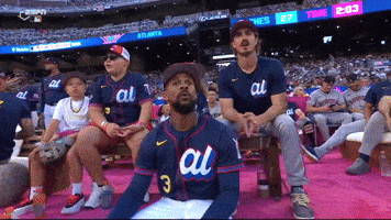 Minnesota Twins Wow GIF by MLB