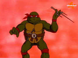 Tmnt GIF by Teenage Mutant Ninja Turtles