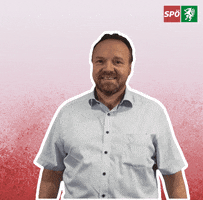 Top Gefällt Mir GIF by SPÖ Steiermark
