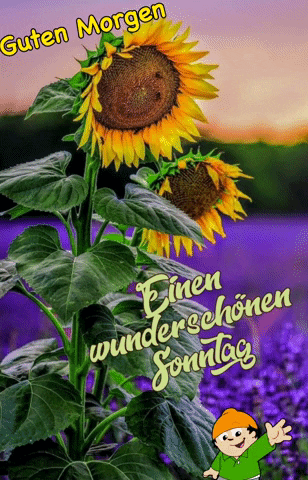 Guten Morgen GIF