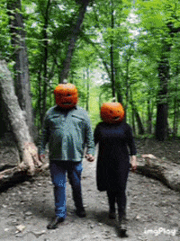 honestlyandie halloween pumpkin pumpkin head spooky vibes GIF