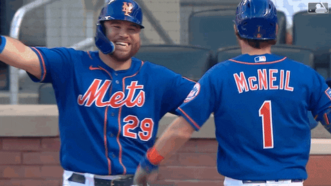 Celebrate Ny Mets GIF by New York Mets - Find & Share on GIPHY
