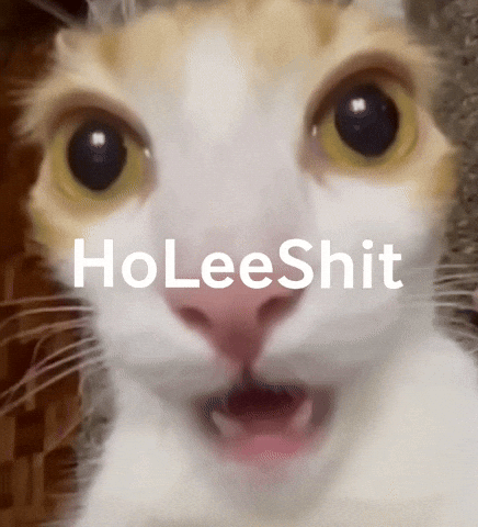 Holyshit GIF