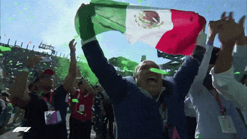 Happy Mexico City GIF by Formula 1