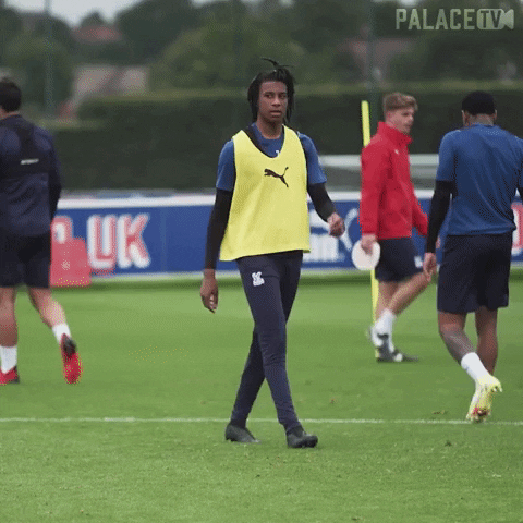 Crystal Palace GIF by CPFC