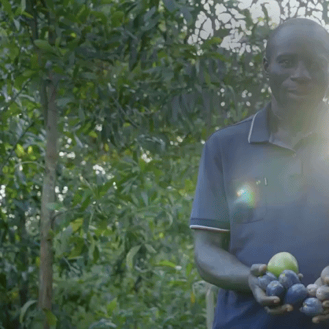 Sustainable Development Forest GIF by World Bank