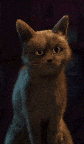ohhhhhh GIF