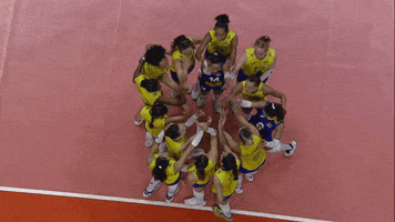 Party Celebrate GIF by Volleyball World
