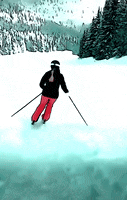 Snowboarding First Snow GIF by The3Flamingos