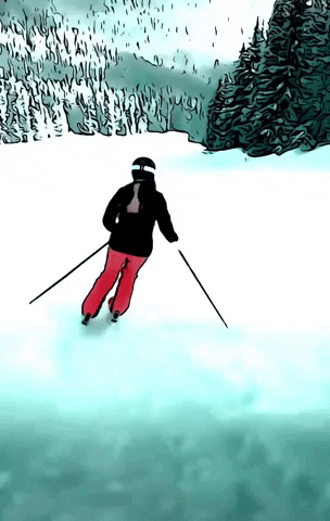 Snowboarding First Snow GIF by The3Flamingos