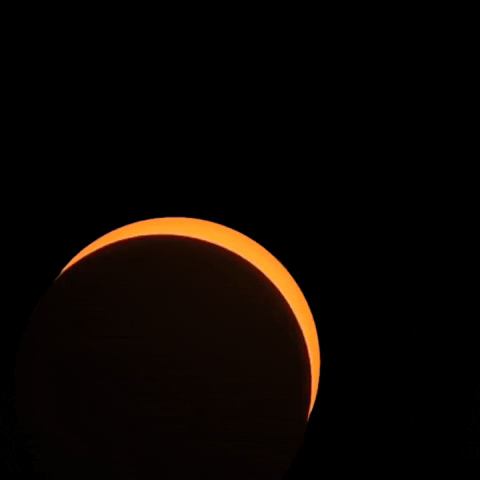 Solar Eclipse Sun GIF by NASA